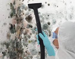 Best Mold Remediation for Vacation Homes  in USA